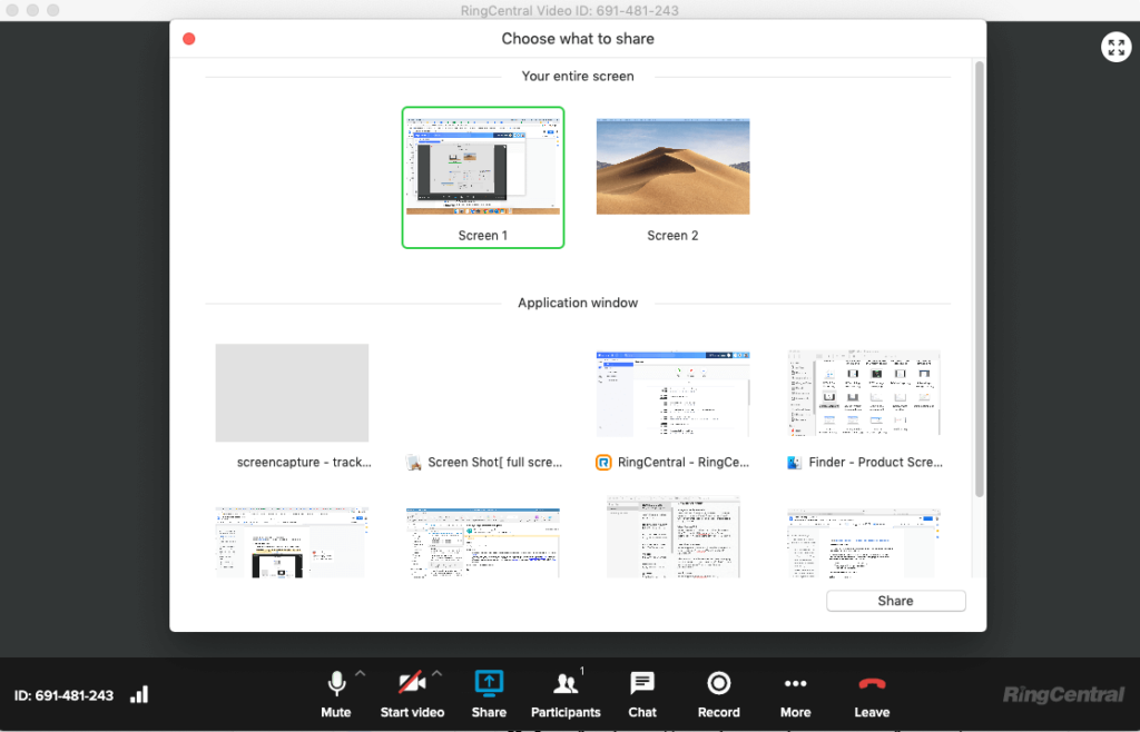 Screenshot of RingCentral Video interface showing advanced screen share options