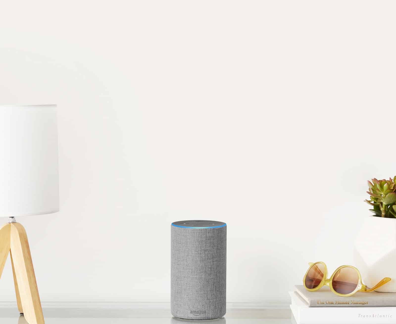 Alexa Echo as an AI Tool.