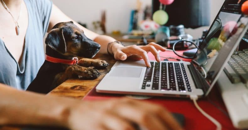 woman working at home with her pet puppy