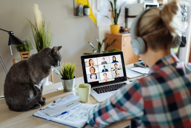 woman at home teleconferencing with colleagues while cat is on the desk