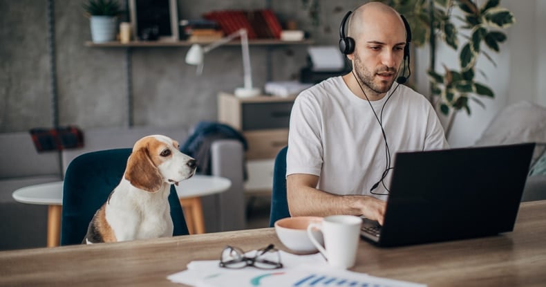 man working on laptop at home his pet dog is next to him on chair