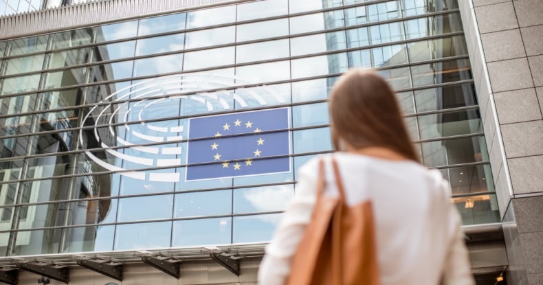 Businesswoman near the parliament building in Brussel-797