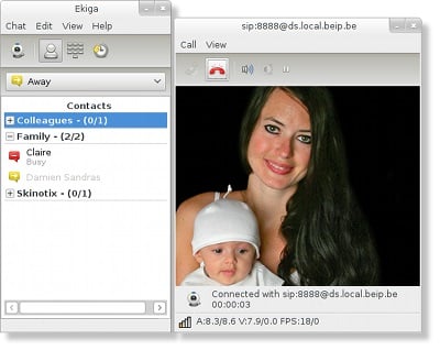 Video call being carried out on Ekiga’s VoIP software