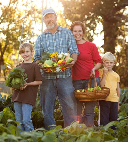 green gate farms