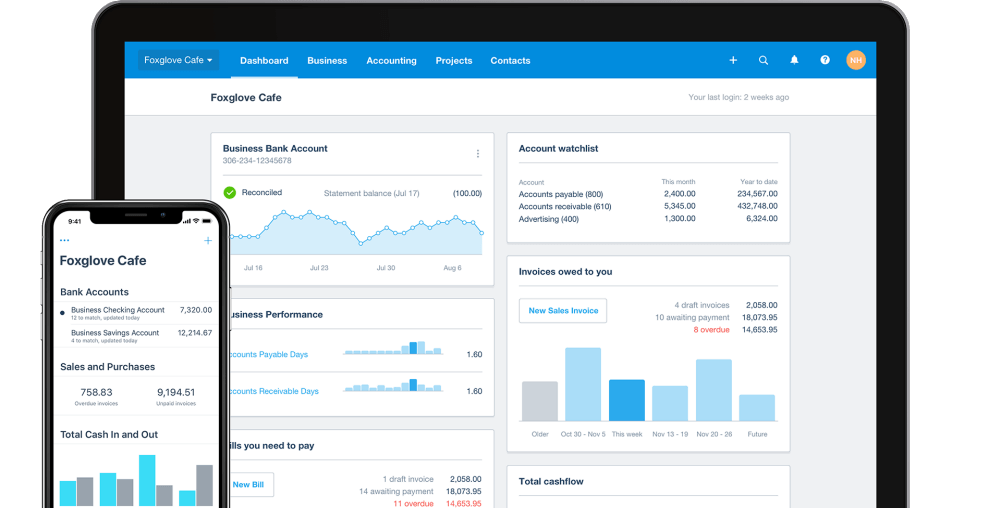 xero financial tool