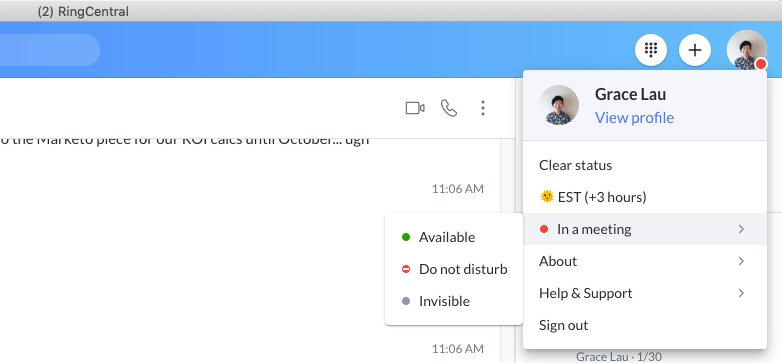status in ringcentral instant messaging app