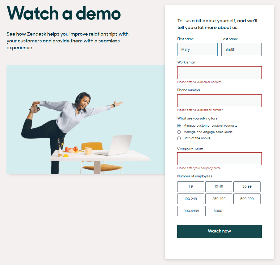 zendesk demo example