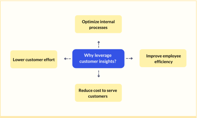 importance of leveraging customer insights